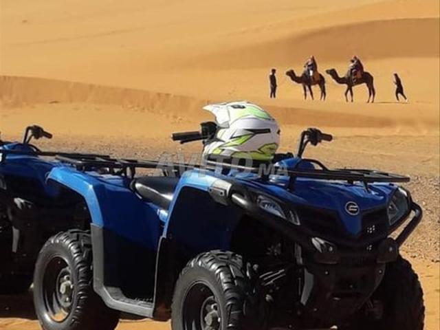 Appartement location à Taouz