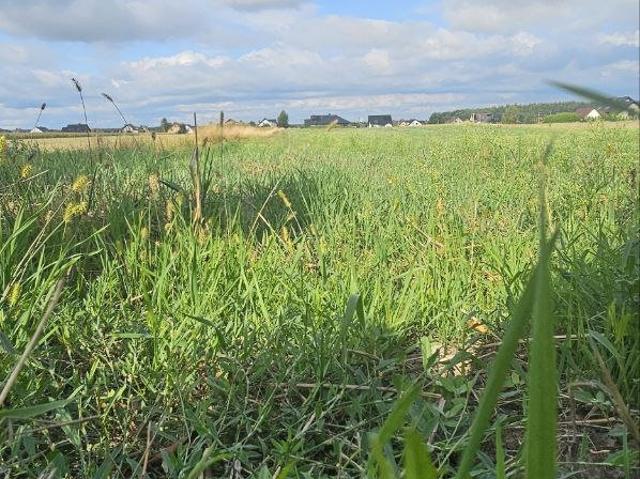 Grunt na sprzedaż w Bieruń, Śląskie