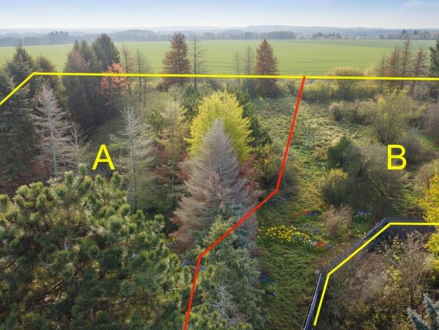 Grundstück kaufen in Gänserndorf, Niederösterreich