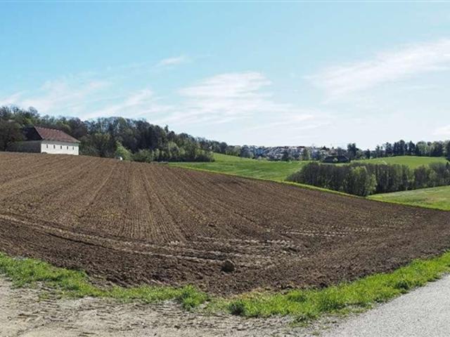 Grundstück kaufen in Lichtenberg, Oberösterreich