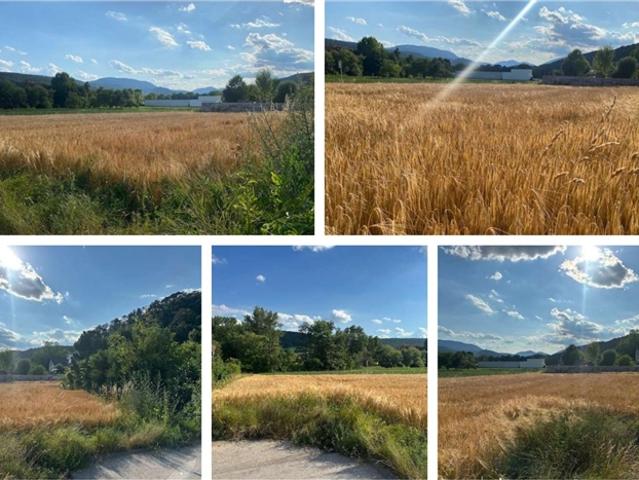 Grundstück kaufen in Markt Piesting, Niederösterreich