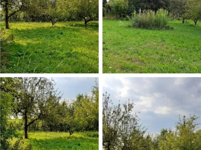 Grundstück kaufen in Wilhering, Oberösterreich
