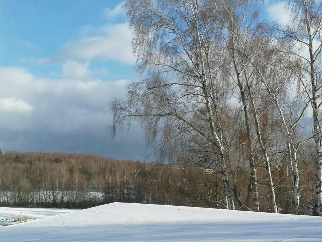Villa kaufen in Hof, Bayern