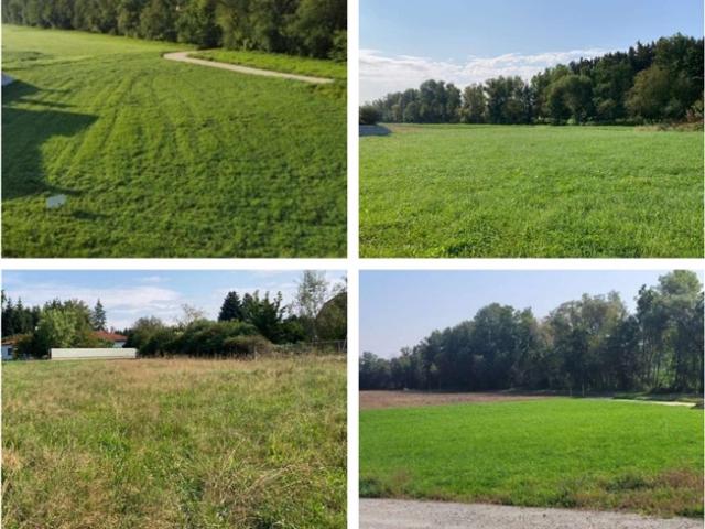 Grundstück kaufen in Andorf, Oberösterreich