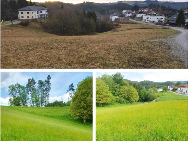Grundstück kaufen in Tragwein, Oberösterreich