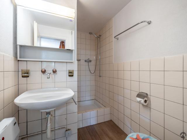 Einfamilienhaus kaufen in Roggwil (BE), Verwaltungsregion Emmental-Oberaargau