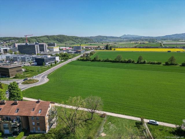 Einfamilienhaus kaufen