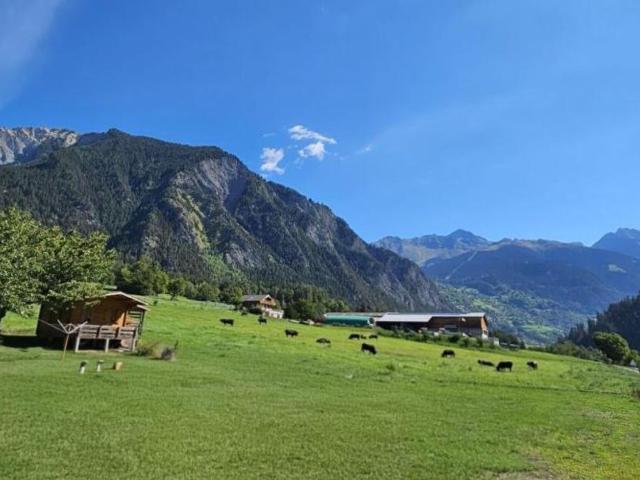 Einfamilienhaus kaufen in Charançon, Vollèges