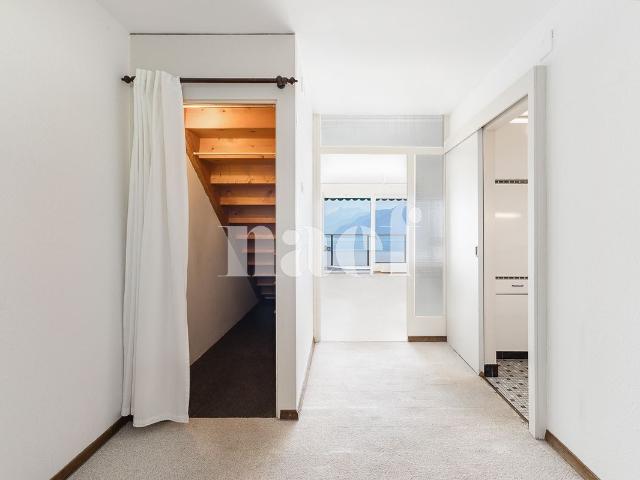 Einfamilienhaus kaufen