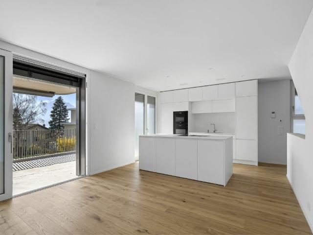Einfamilienhaus kaufen in Gersau, Schwyz