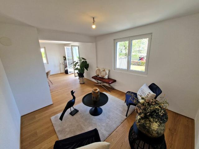 Einfamilienhaus kaufen in Widnau, St. Gallen