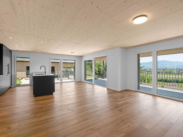 Einfamilienhaus kaufen in Au (SG), St. Gallen