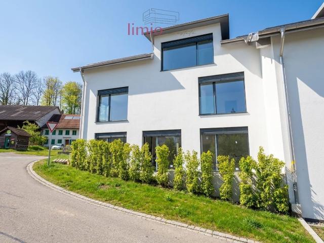 Einfamilienhaus kaufen in Amlikon-Bissegg, Thurgau