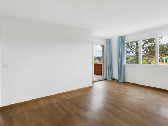 Einfamilienhaus kaufen in Stettfurt, Thurgau