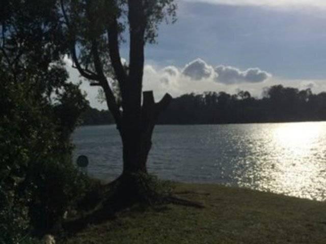 Room for rent in Thomson