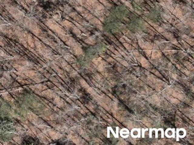 Land for sale in Tennessee