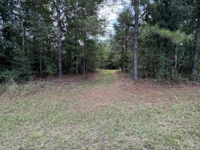 Land for sale in Lumberton, Mississippi
