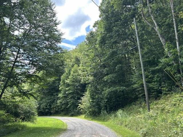 Land for sale in Kingwood, West Virginia