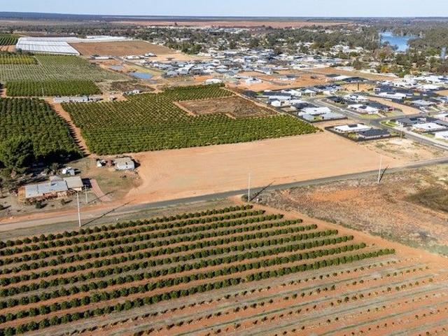 Land for sale in Gol Gol, New South Wales