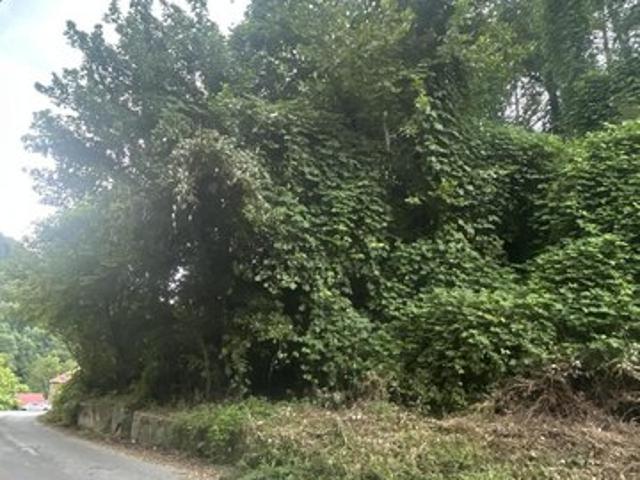 Land for sale in Virginia