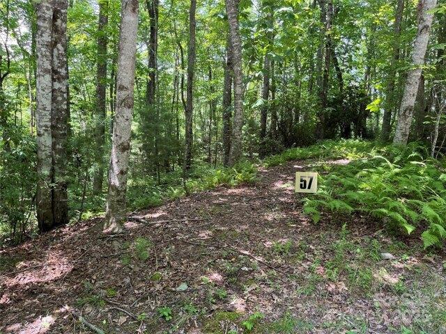 Land for sale in Transylvania, North Carolina