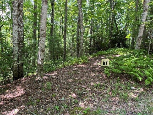 Land for sale in Brevard