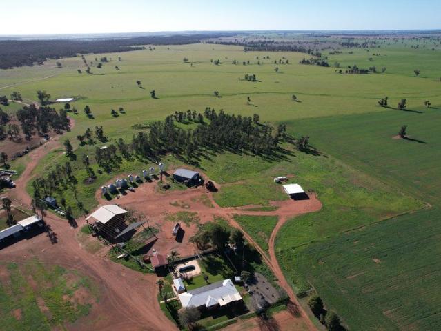 Cottage for sale in Wandella, Condobolin