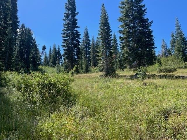 Land for sale in California