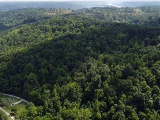 Land for sale in Crown City