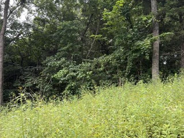 Land for sale in Barry, Missouri