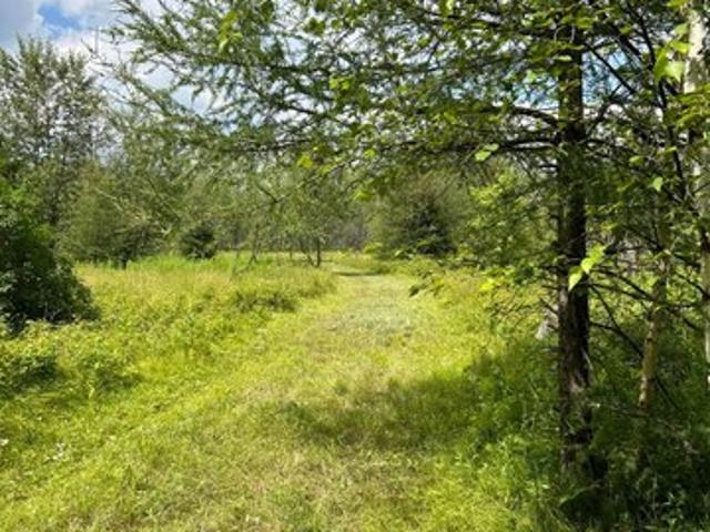 Land for sale in Laona, Wisconsin