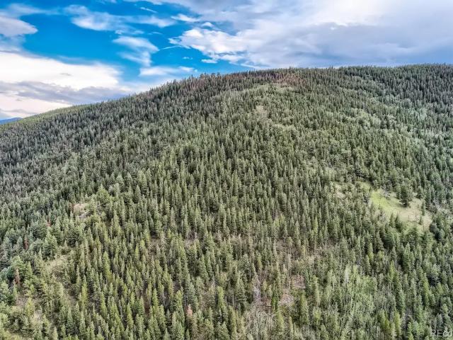 Land for sale in Clear Creek, Colorado