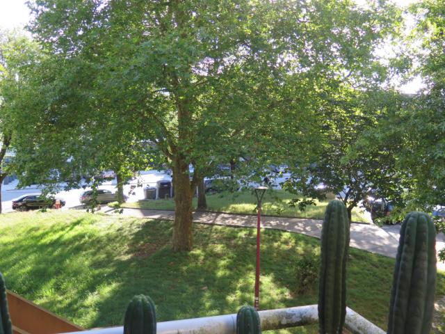 Quarto alugar em Porto, Lordelo Do Ouro