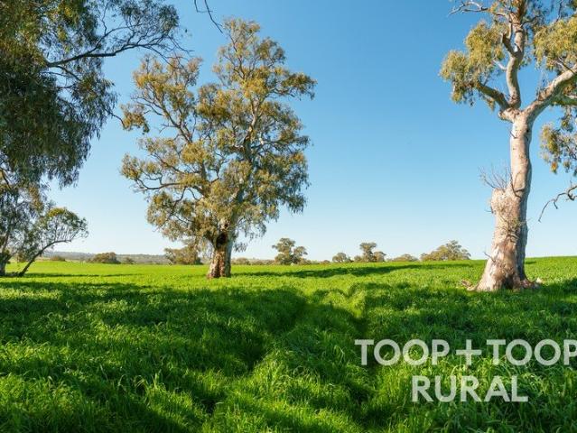 Cottage for sale in Eden Valley, Springton