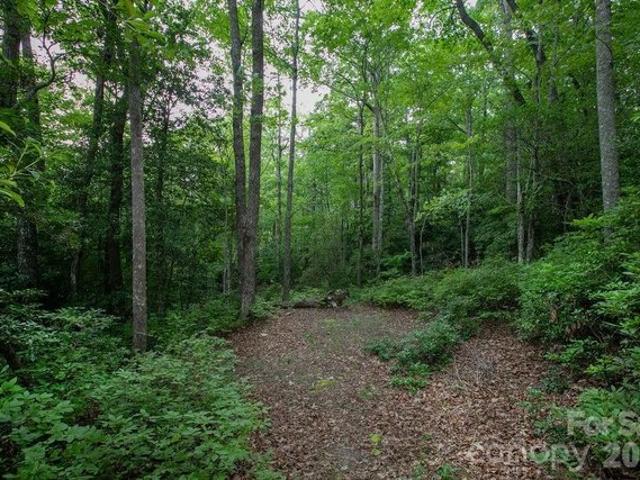 Land for sale in Transylvania, North Carolina