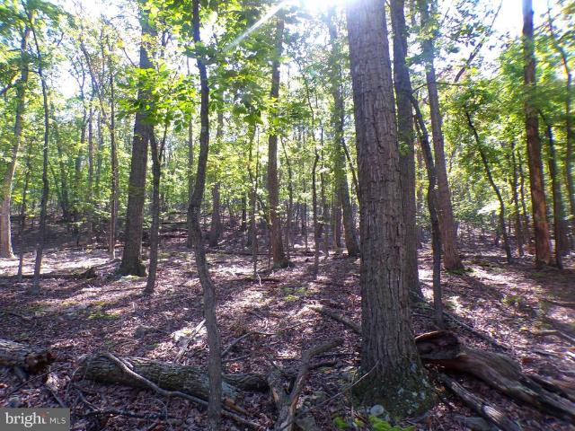 Land for sale in West Virginia