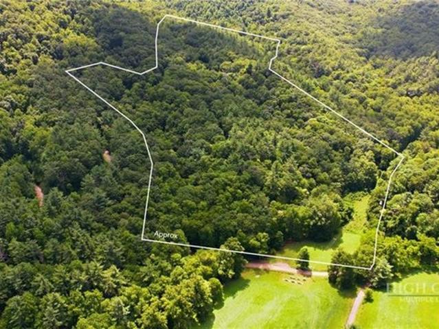 Land for sale in Purlear, North Carolina