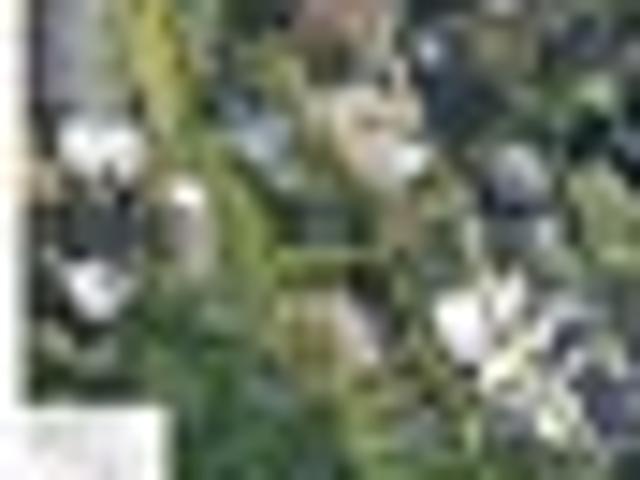 Land for sale in Wairau Valley, Oroua County