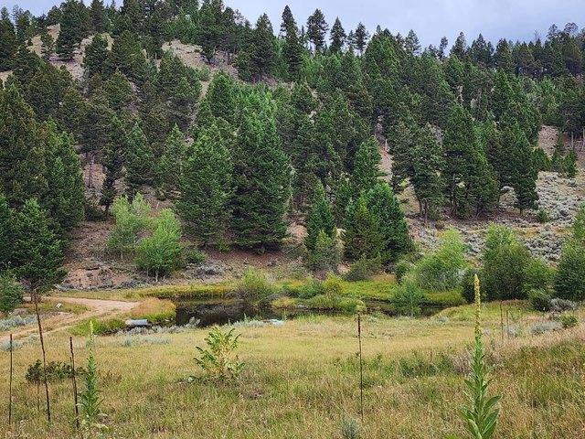 Land for sale in Basin, Montana
