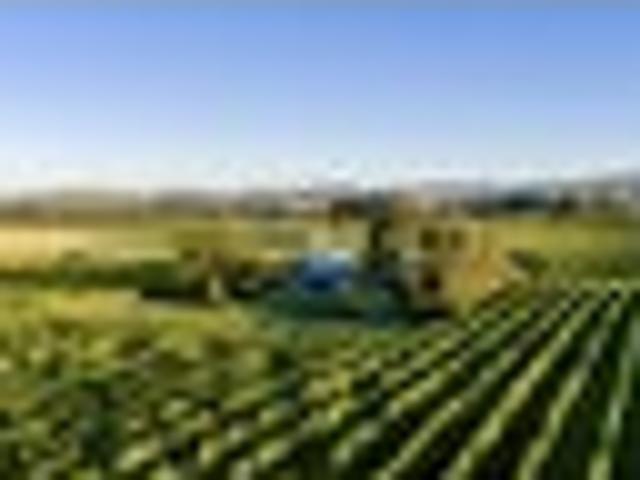 House for sale in Renwick, Marlborough