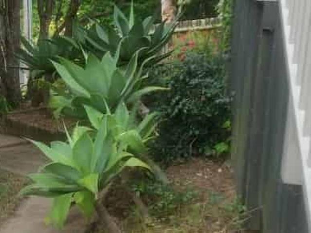 House for rent in Whangaparaoa