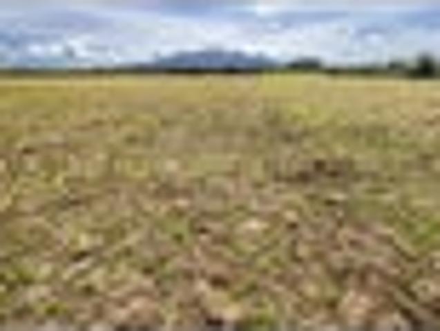 Land for sale in Ruapehu District