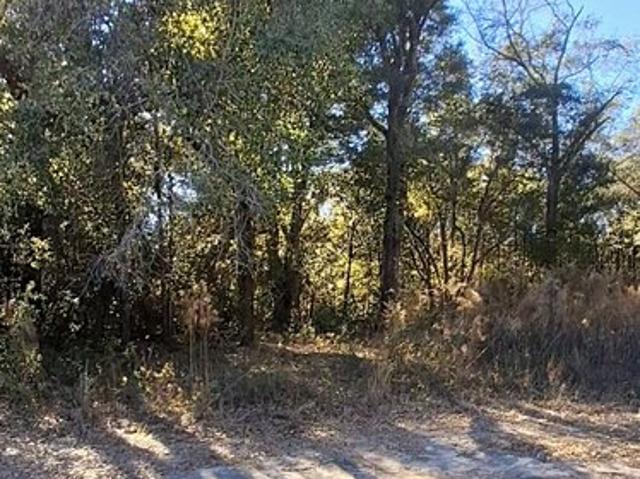 Land for sale in Newton, Georgia