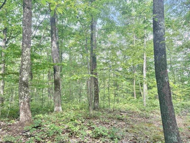Farm for sale in Procious, West Virginia