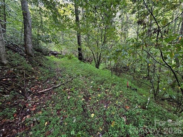 Land for sale in Marshall, North Carolina