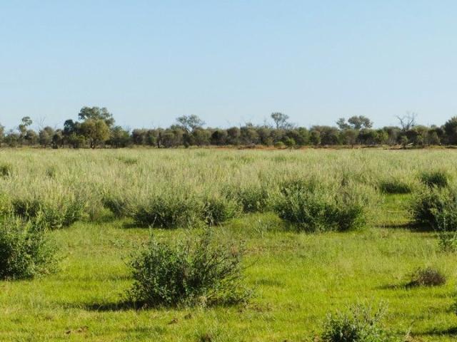 Property for sale in Eulo, Queensland