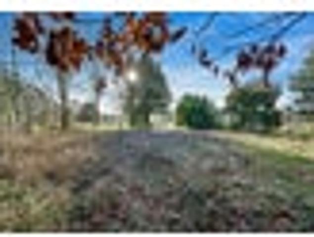 Land for sale in Tokoroa, Waikato