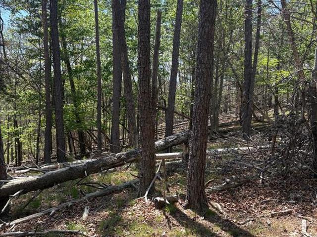 Land for sale in Berkeley Springs, West Virginia