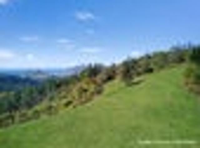 Land for sale in Waikato