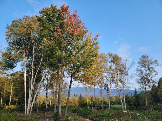 Land for sale in Rangeley, Franklin County